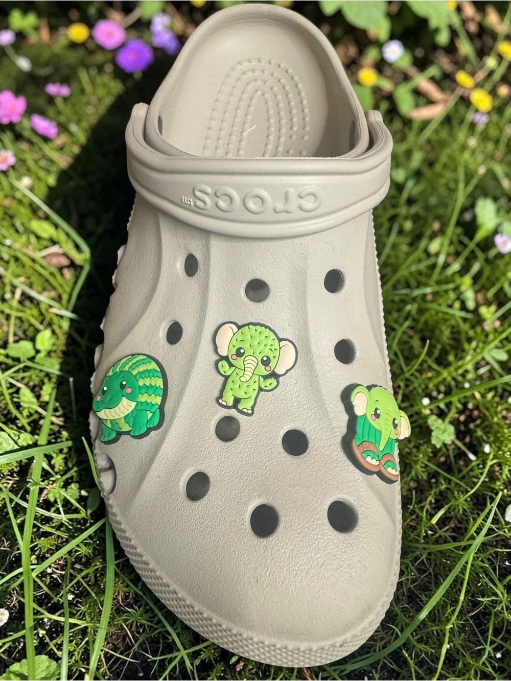Cute Green Animal Shoe Charms. Set of 6
